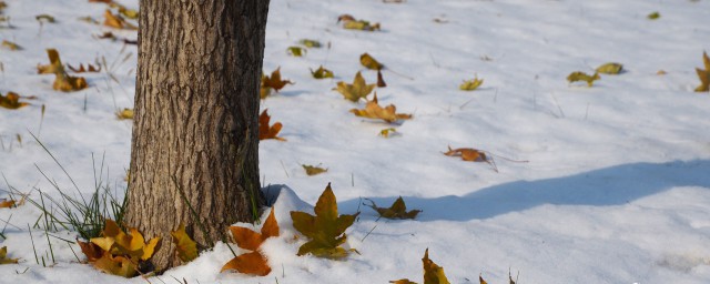 关于立冬的知识 关于立冬习俗文化你都了解吗
